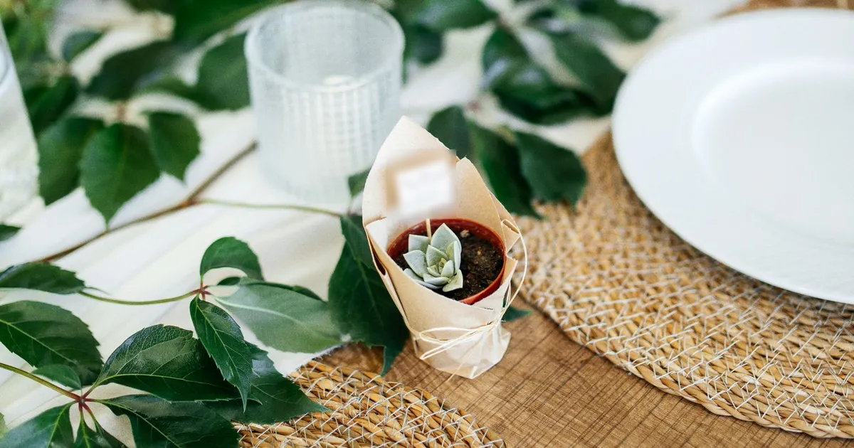 Kleine Sukkulente im Tontopf, in Kraftpapier gewickelt und mit Bast gebunden, auf einer Hochzeitstafel zwischen Weinlaub, Windlicht und einem weißen Teller auf Bastmatte