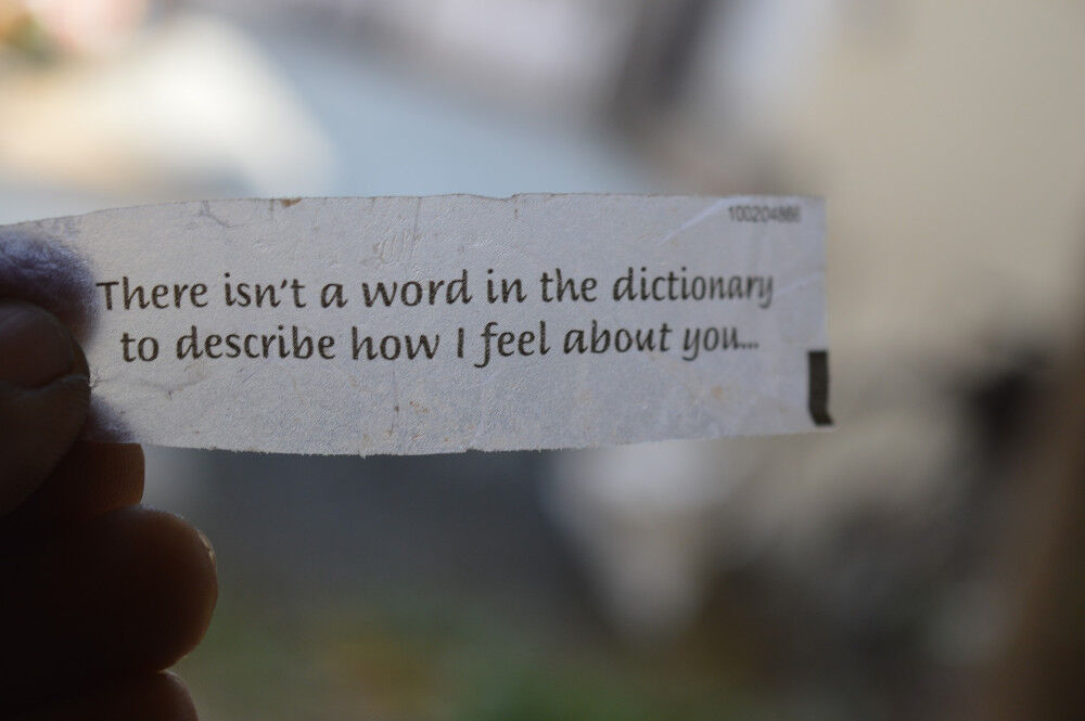 Ein Zettel aus einem Glückskeks mit der Aufschrift: There isn't a word in the dictionary to describe how I feel about you...