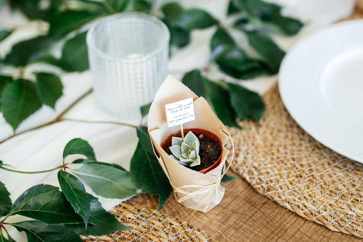 Kleine Sukkulente im Tontopf, in Kraftpapier gewickelt, auf einer Hochzeitstafel