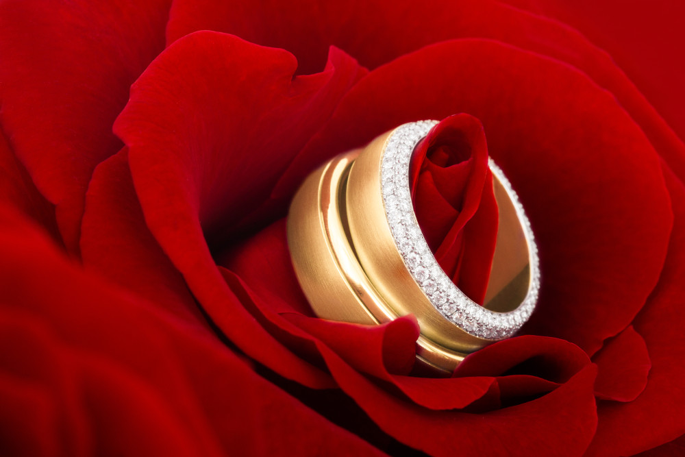 Zwei goldene Trauringe besetzt mit Diamanten in einer Rose